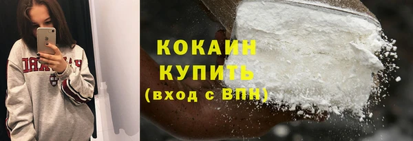 соль ск Кукмор