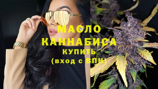 прущие грибы Лабытнанги