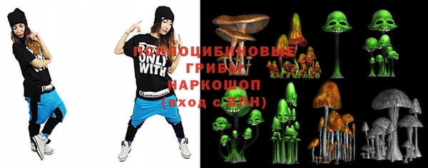 соль ск Кукмор