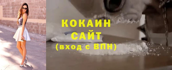 прущие грибы Лабытнанги