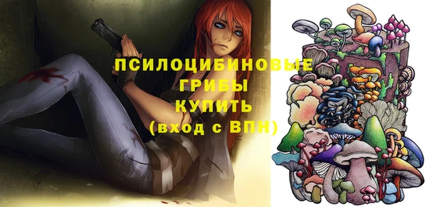прущие грибы Лабытнанги