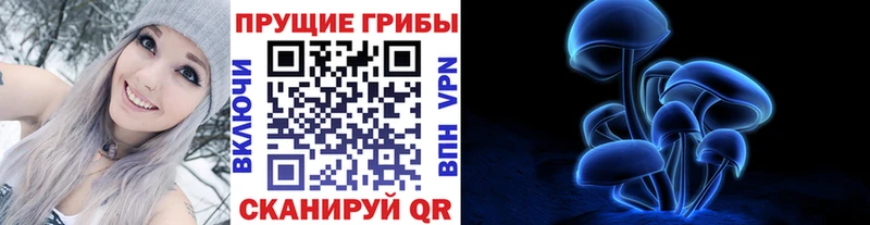 Купить где  Новоржев  Галлюциногенные грибы Psilocybe 