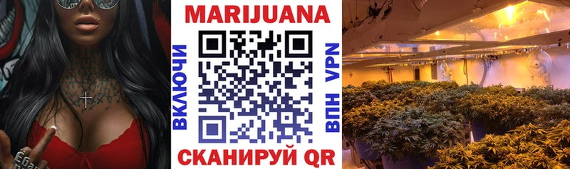 Конопля MAZAR  Купить закладки  Новоржев 